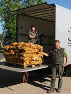 Kartoffeleimer